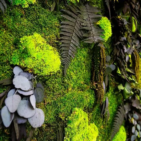 Demetra Eco בית הארחה